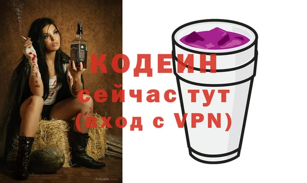 Альфа ПВП Бородино