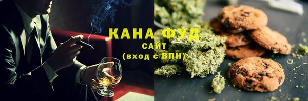 Альфа ПВП Бородино