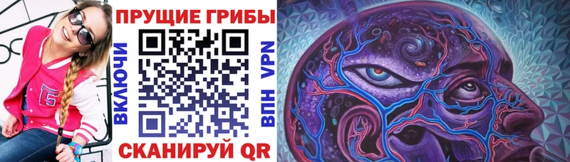 Псилоцибиновые грибы прущие грибы  Томск 
